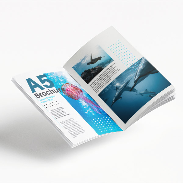 Brochure publicitaire A5, 16 pages et papier 135g 