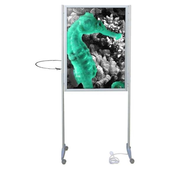 Totem publicitaire lumineux LED double face 700x1000 mm