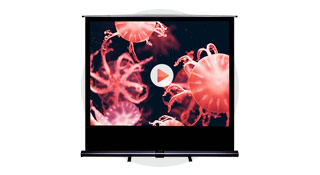 Ecran de video projection roll-up