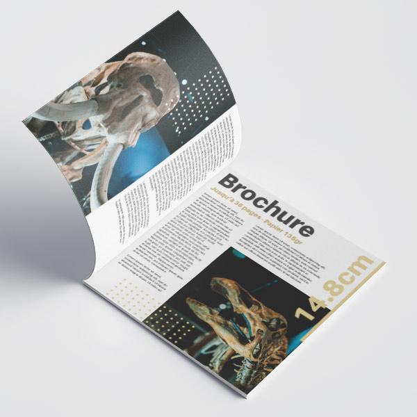 Brochure publicitaire 14,8 x 14,8 cm, 12 pages et papier 135g avec couverture 250g 