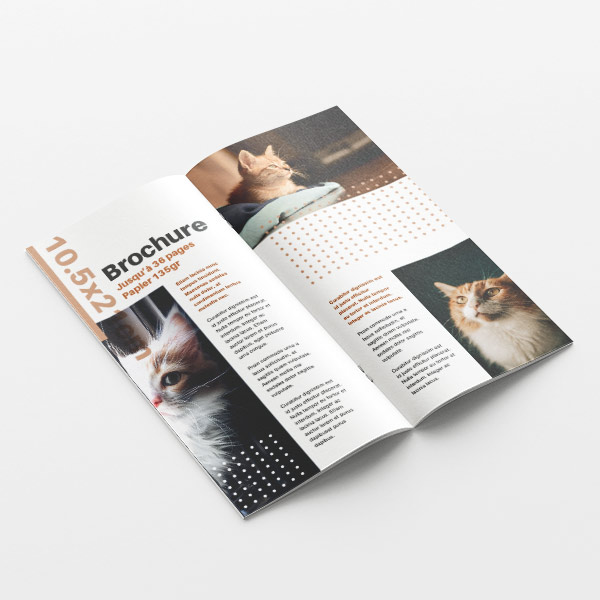 Brochure publicitaire 10,5 x 21 cm , 12 pages et papier 135g 